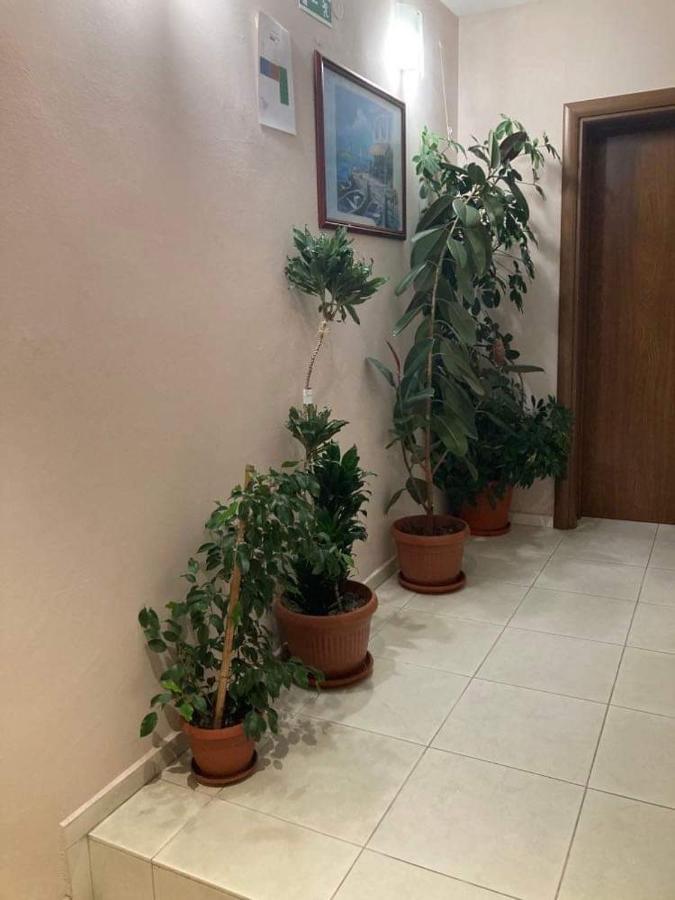 Family Hotel Neptun - Лозенец Экстерьер фото